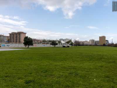Ci ritroviamo cos� davanti un grande prato con degli alberi intorno...